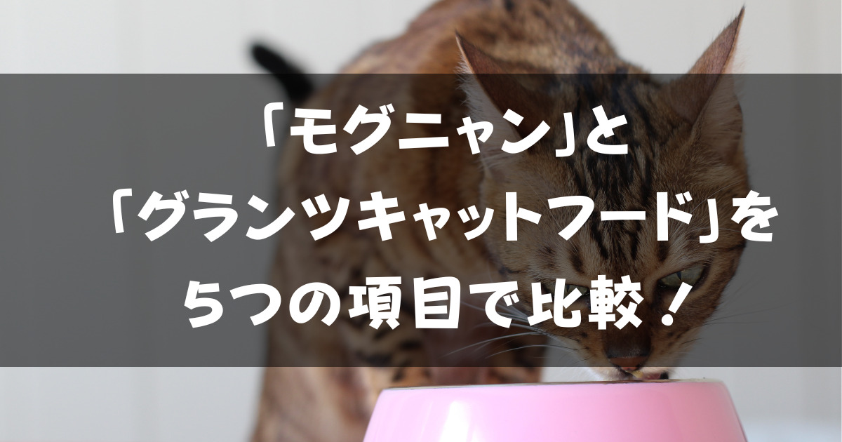 「モグニャン」と「グランツキャットフード」を5つの項目で比較!