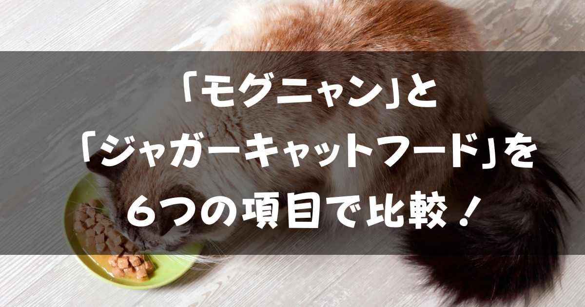 【違いは何?】「モグニャン」と「ジャガーキャットフード」を比較!