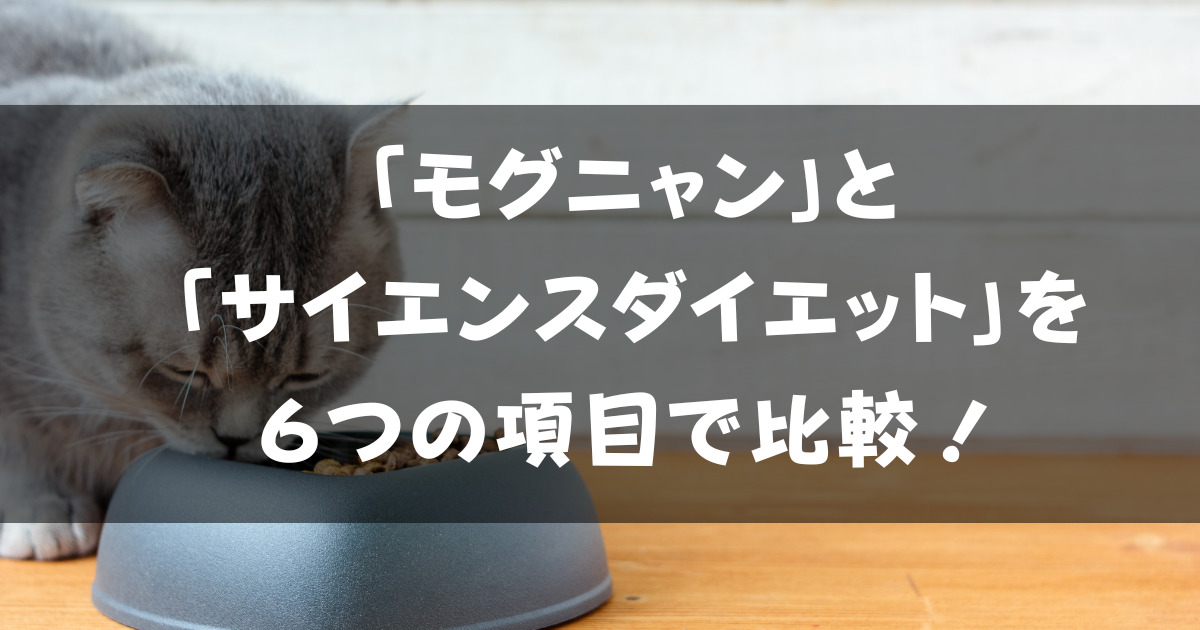 「モグニャン」と「サイエンスダイエット猫用」をコスパと品質で比較!